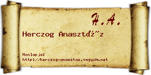Herczog Anasztáz névjegykártya